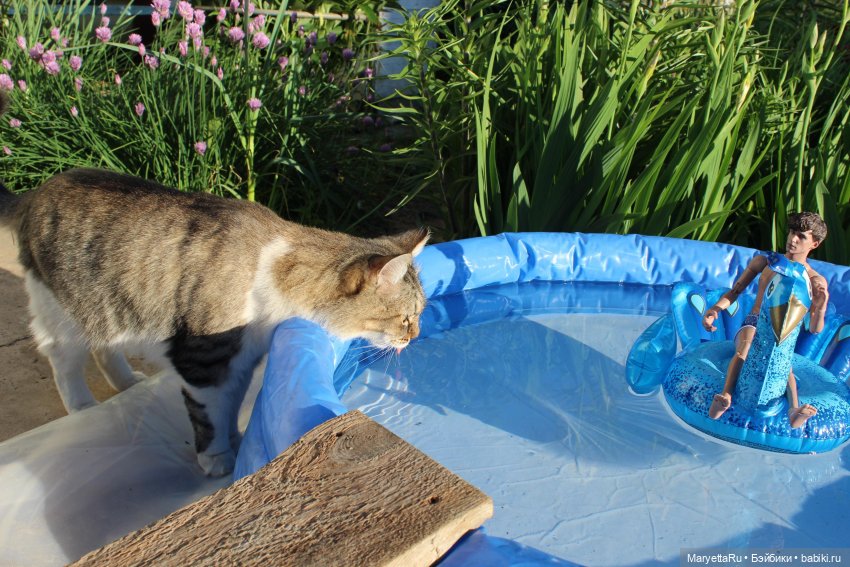 Коты вдохновляют — Болталка и разговоры обо всем: жизнь (фото 3)