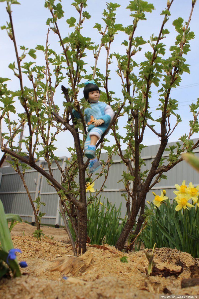 Коты вдохновляют — Болталка и разговоры обо всем: жизнь (фото 8)