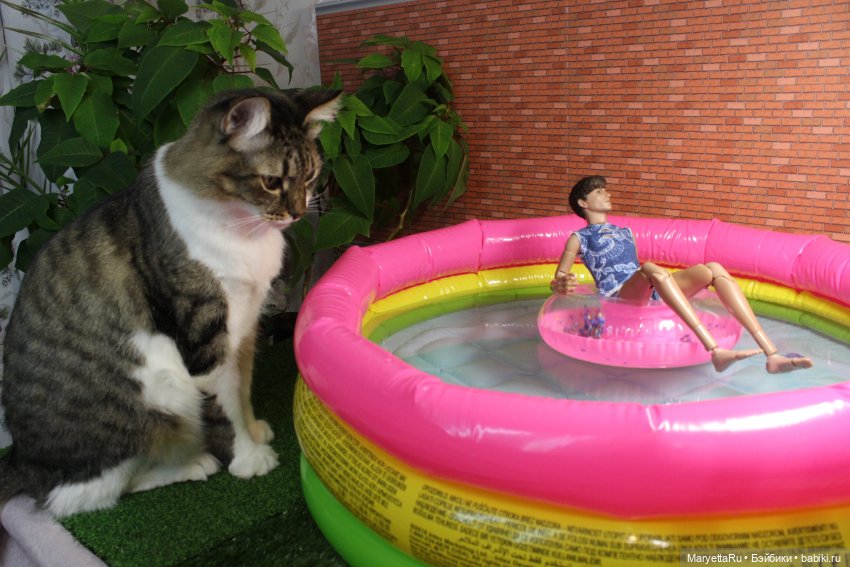 Готовим плавсредства к лету. Прямо на столе