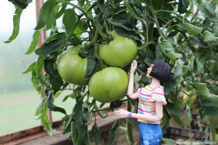 Мелоди 17 лет — Кукольные фотоистории и сериалы: комиксы