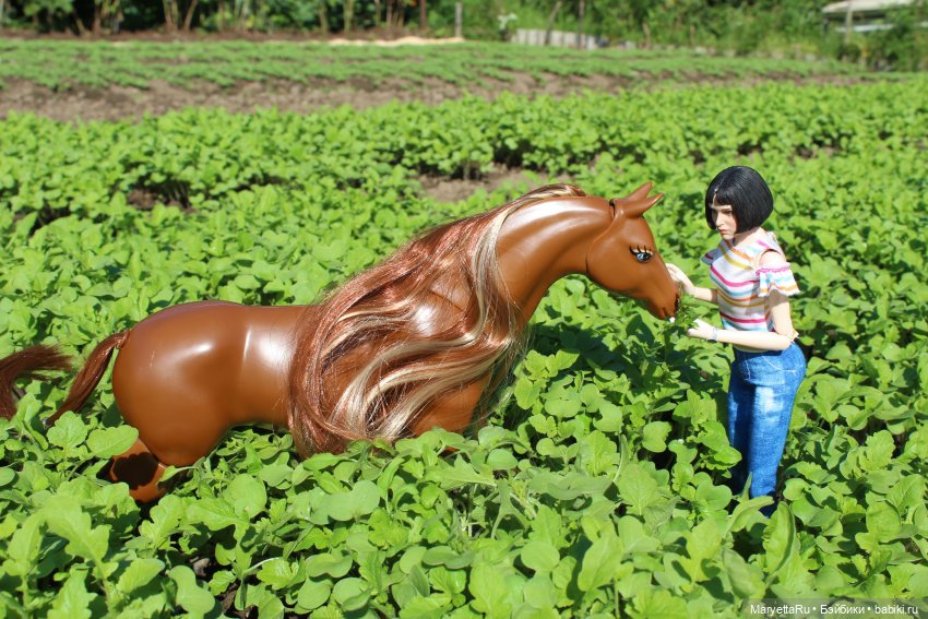 Мелоди 17 лет — Кукольные фотоистории и сериалы: комиксы