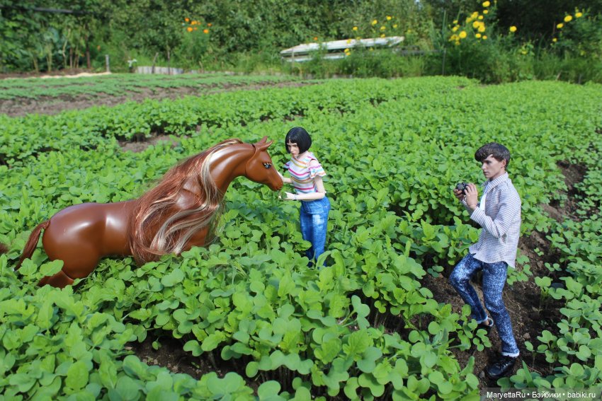 Мелоди 17 лет — Кукольные фотоистории и сериалы: комиксы