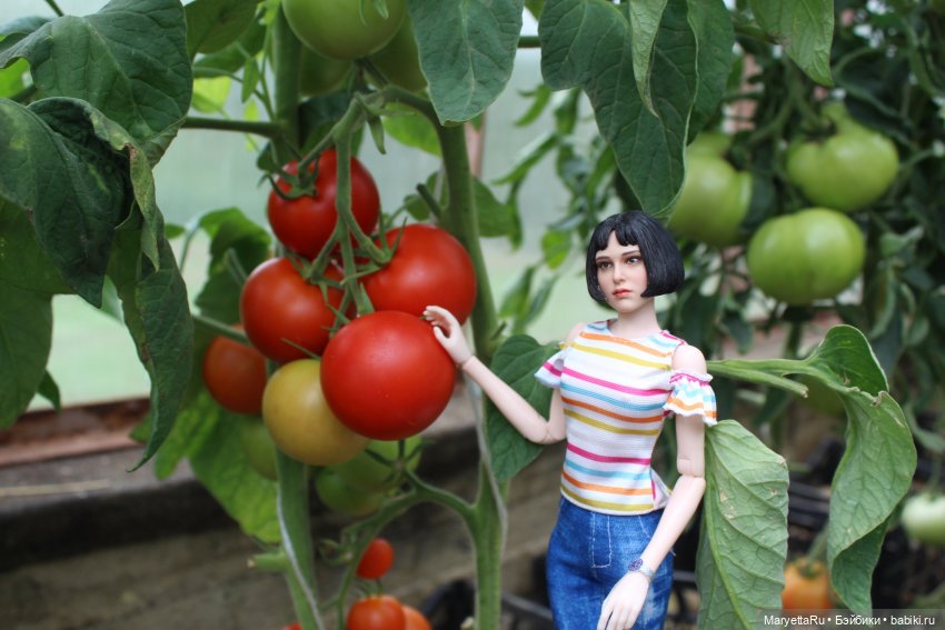 Мелоди 17 лет — Кукольные фотоистории и сериалы: комиксы