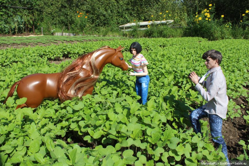 Мелоди 17 лет — Кукольные фотоистории и сериалы: комиксы