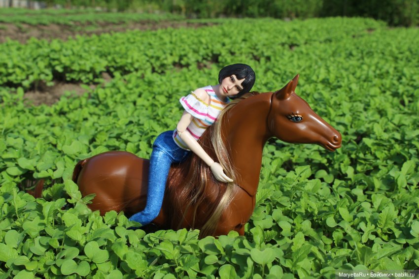 Мелоди 17 лет — Кукольные фотоистории и сериалы: комиксы