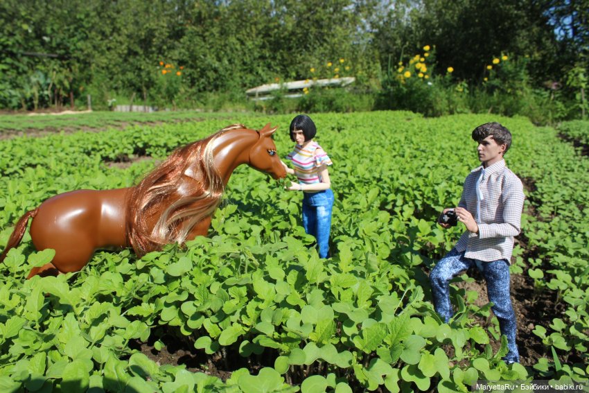 Мелоди 17 лет — Кукольные фотоистории и сериалы: комиксы