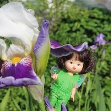 Фея в саду. Часть 2