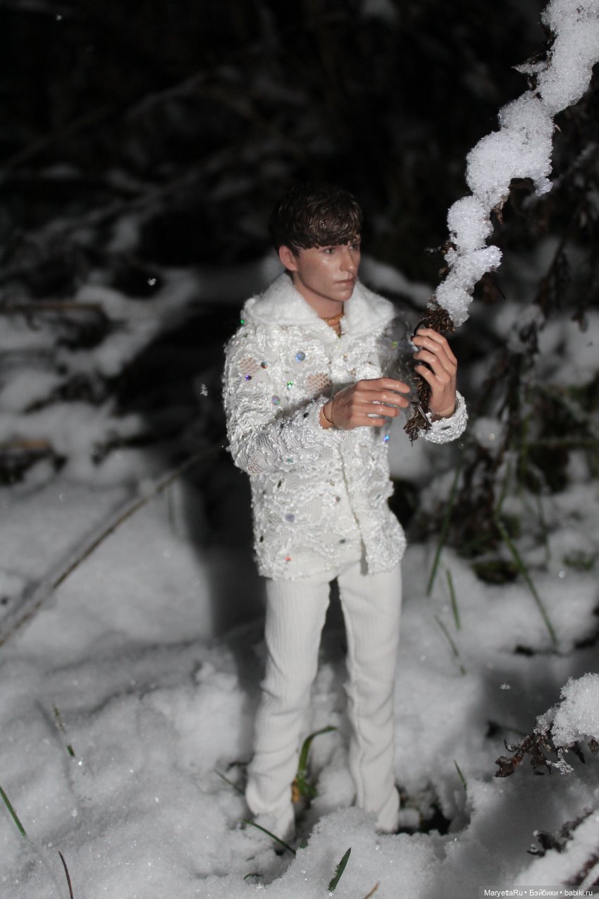 Их снежная баба — Кукольные фотоистории и сериалы: комиксы