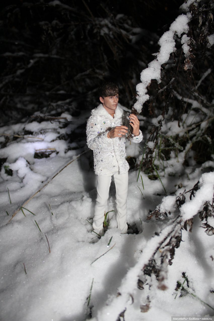 Их снежная баба — Кукольные фотоистории и сериалы: комиксы