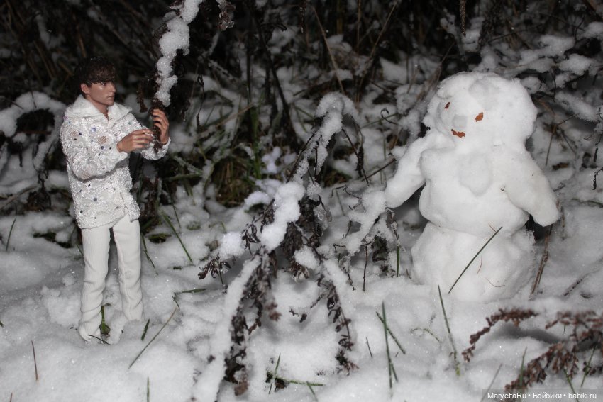Их снежная баба — Кукольные фотоистории и сериалы: комиксы