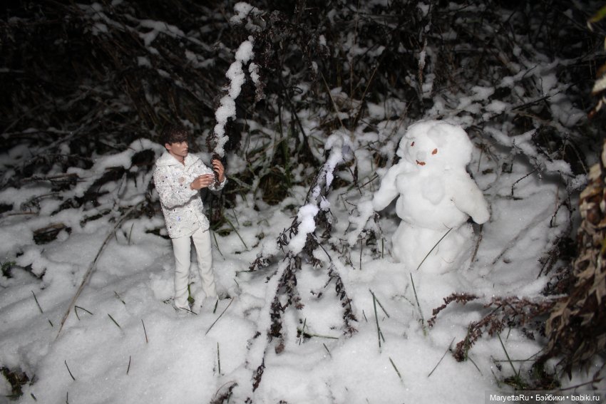 Их снежная баба — Кукольные фотоистории и сериалы: комиксы