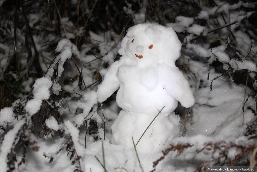 Их снежная баба — Кукольные фотоистории и сериалы: комиксы