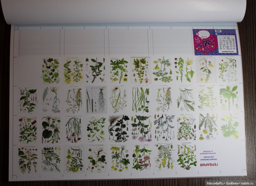 Как я клею мини-книги — Создание миниатюры: МК (фото 5)