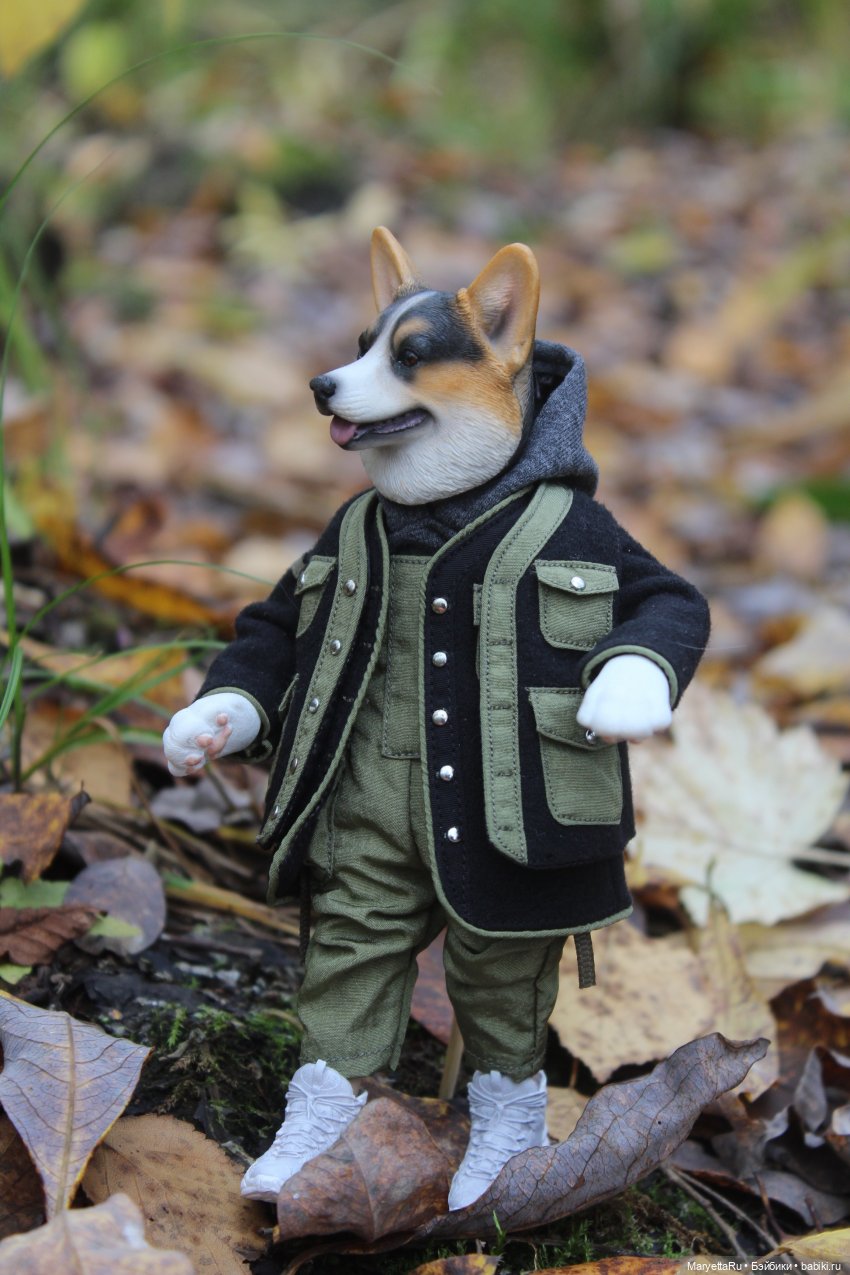 Обзор собачьей серии Mr. Z