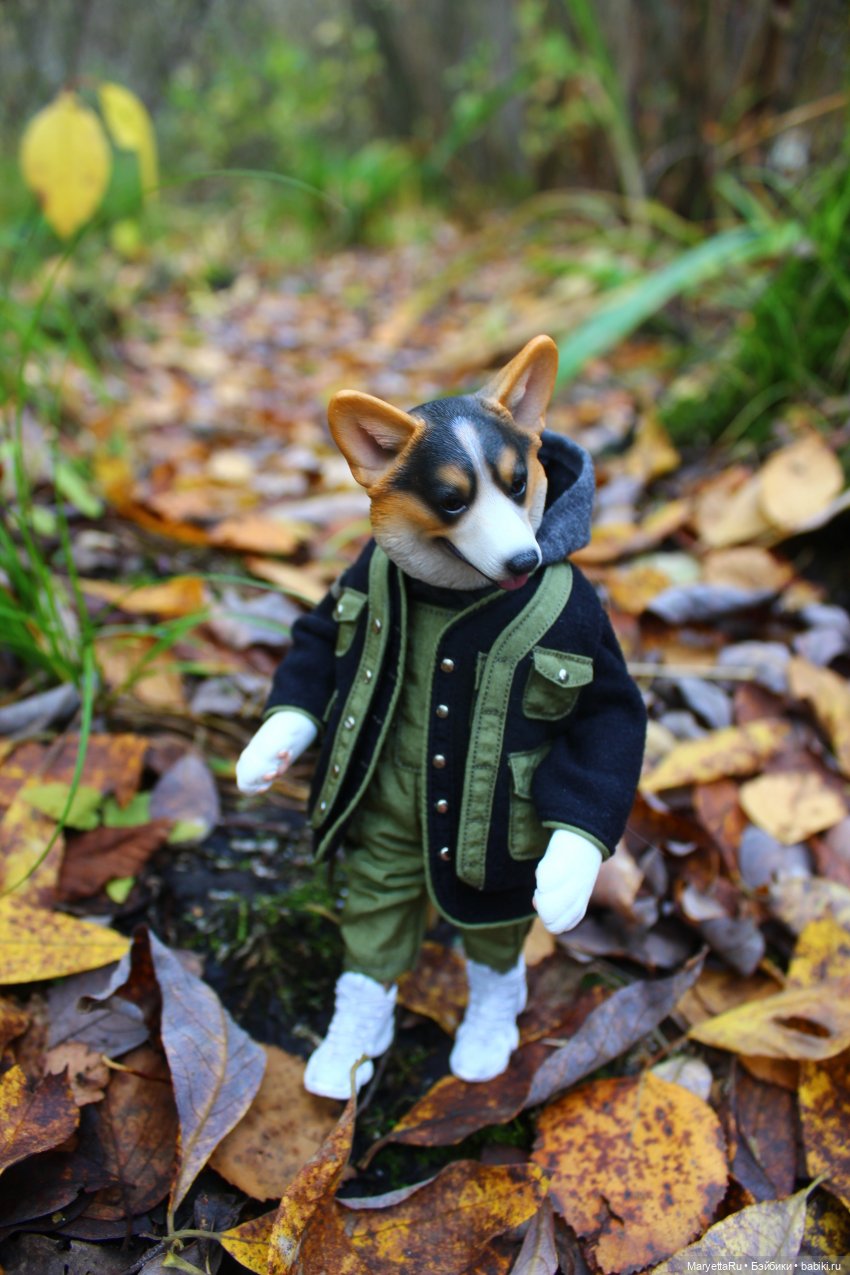 Обзор собачьей серии Mr. Z