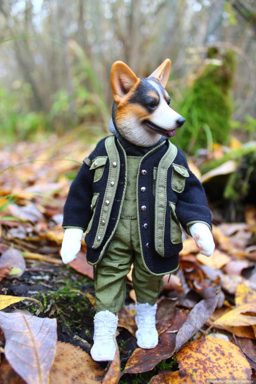 Обзор собачьей серии Mr. Z