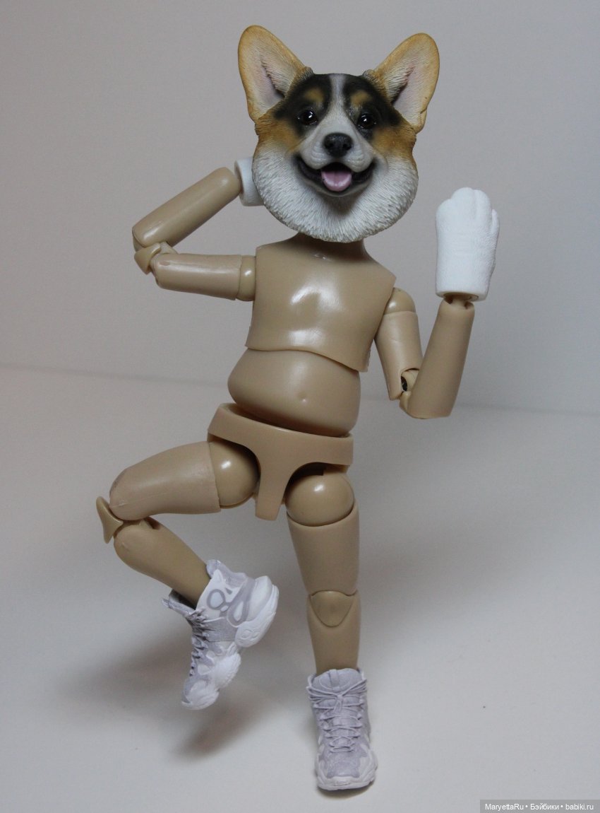 Обзор собачьей серии Mr. Z