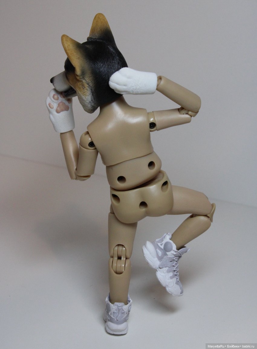 Обзор собачьей серии Mr. Z