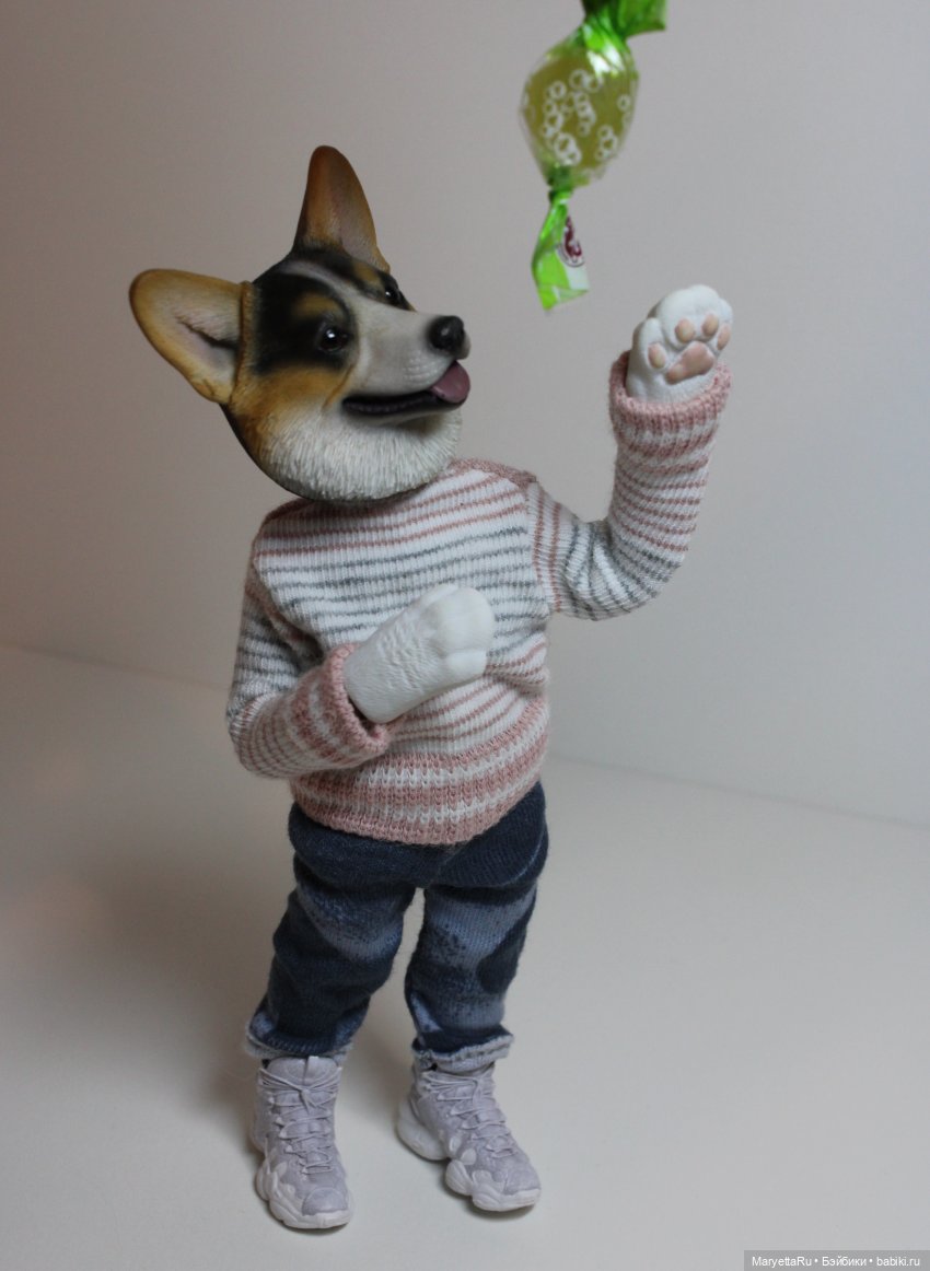 Обзор собачьей серии Mr. Z