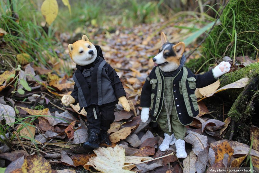 Обзор собачьей серии Mr. Z