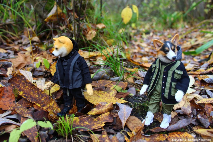 Обзор собачьей серии Mr. Z