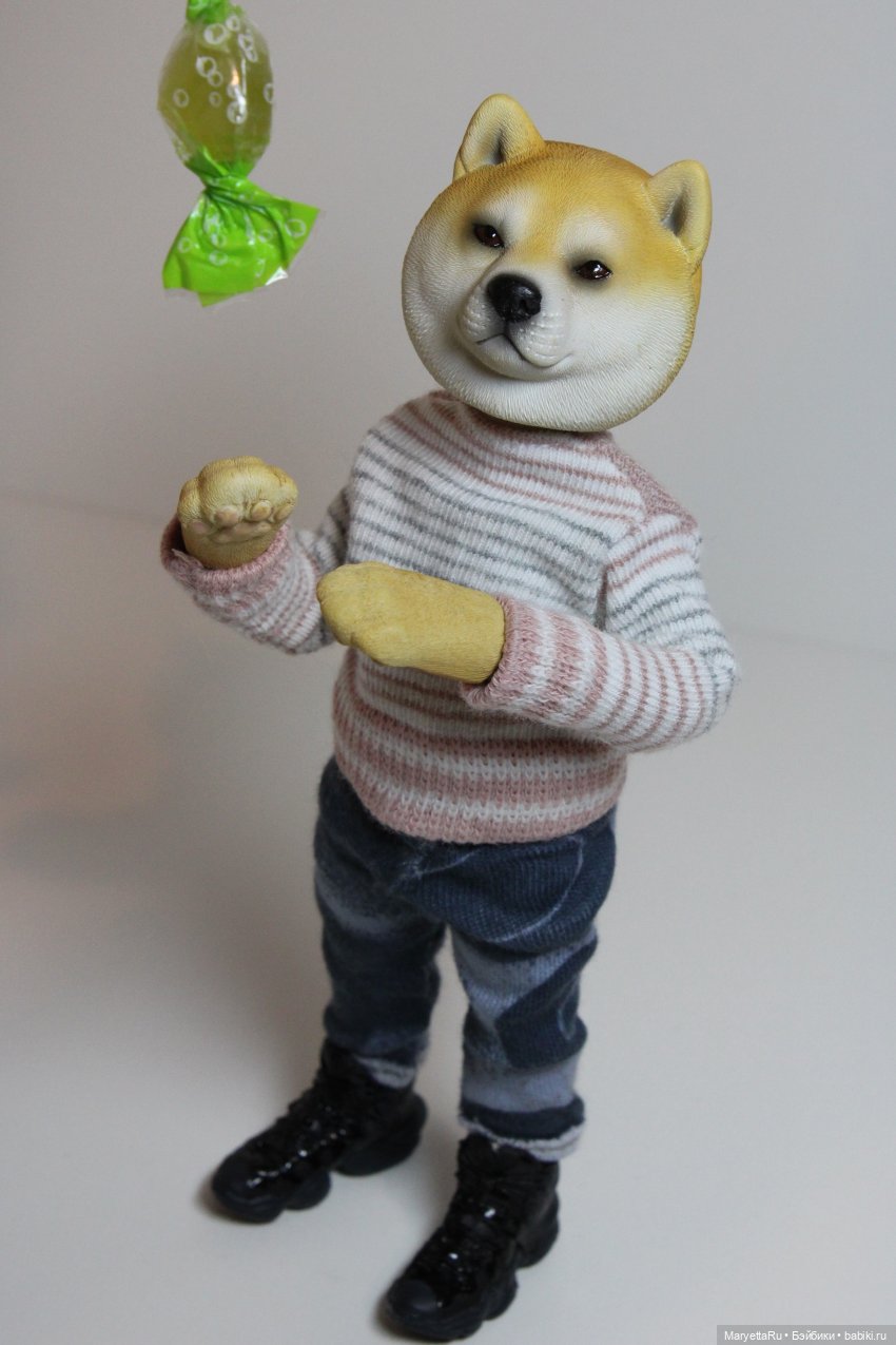 Обзор собачьей серии Mr. Z