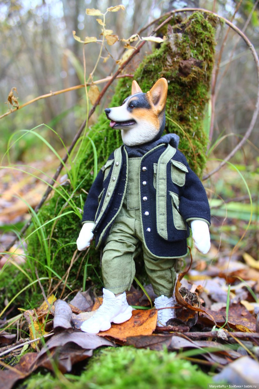 Обзор собачьей серии Mr. Z