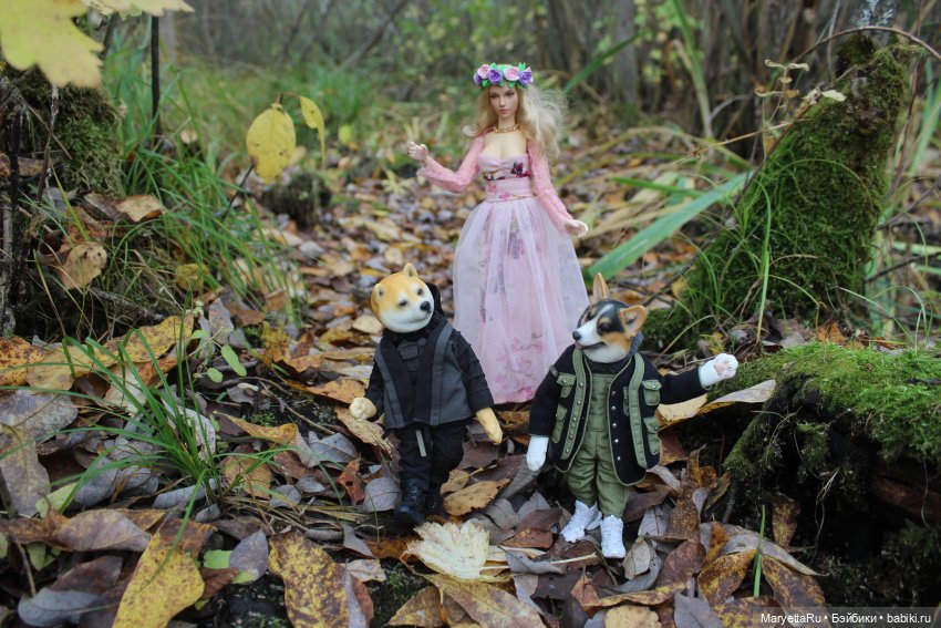 Обзор собачьей серии Mr. Z