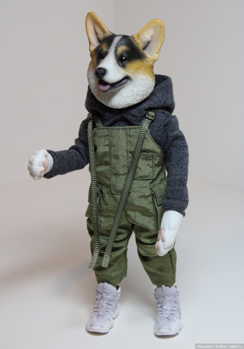 Обзор собачьей серии Mr. Z