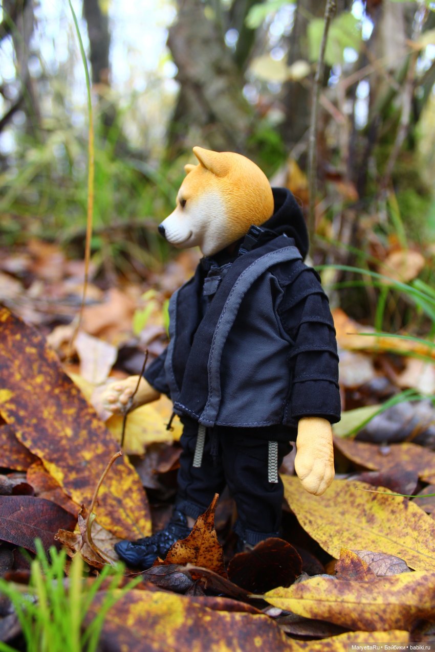 Обзор собачьей серии Mr. Z