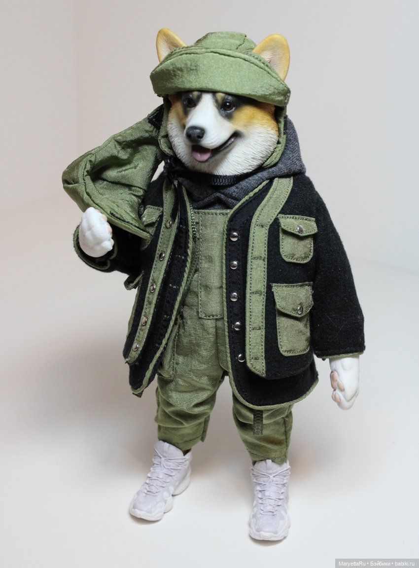 Обзор собачьей серии Mr. Z