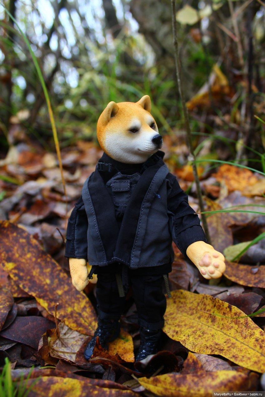 Обзор собачьей серии Mr. Z