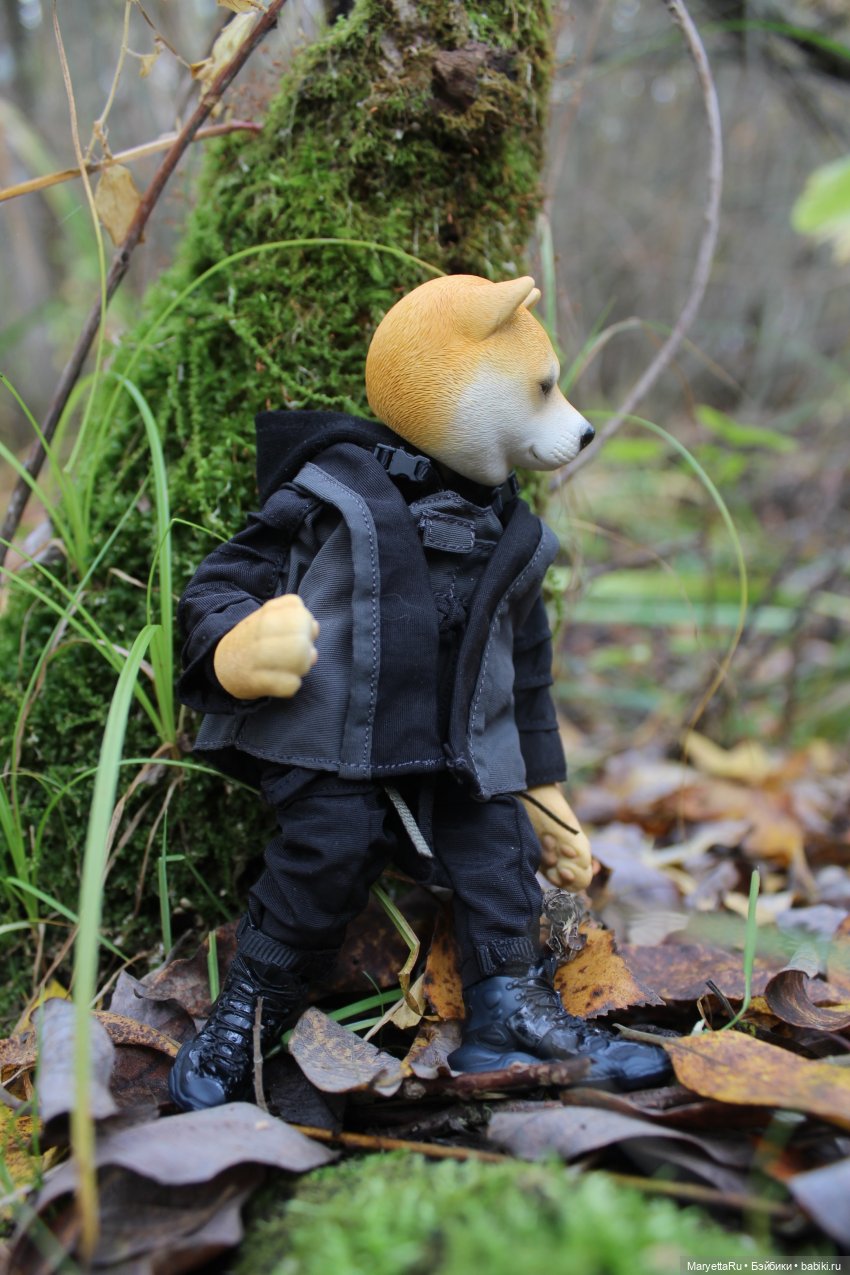 Обзор собачьей серии Mr. Z