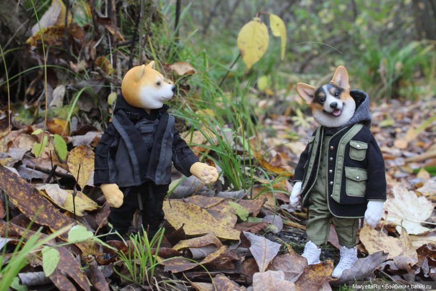 Обзор собачьей серии Mr. Z