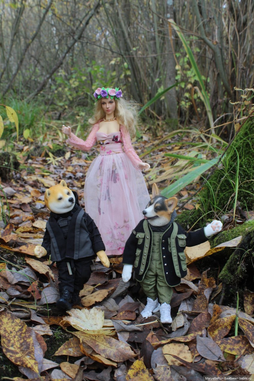 Обзор собачьей серии Mr. Z