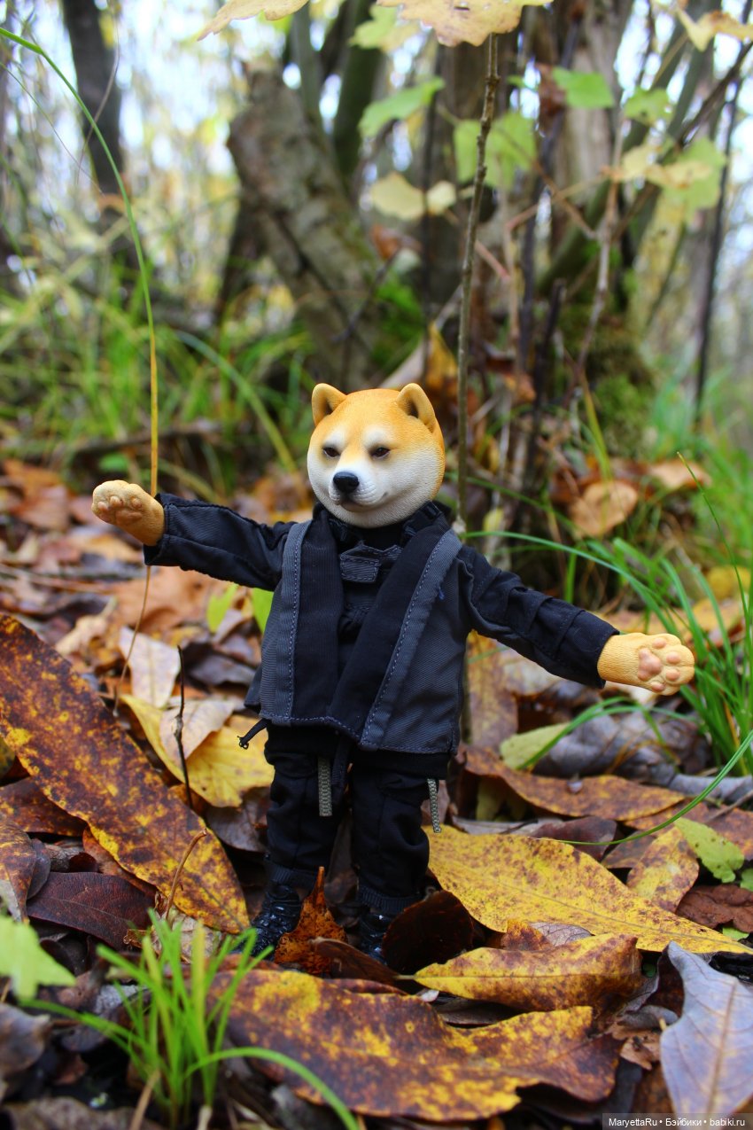 Обзор собачьей серии Mr. Z