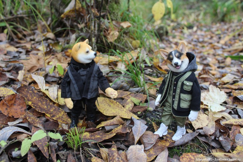 Обзор собачьей серии Mr. Z