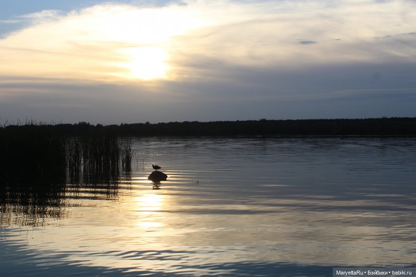 Куколки и закат — Кукольные фотоистории и сериалы: комиксы