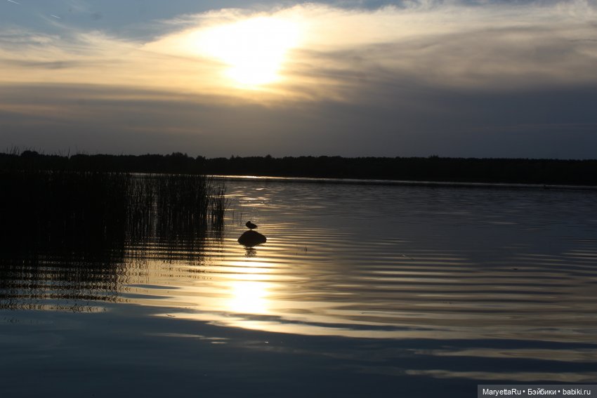 Куколки и закат — Кукольные фотоистории и сериалы: комиксы