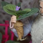 Мандрагора в горшке