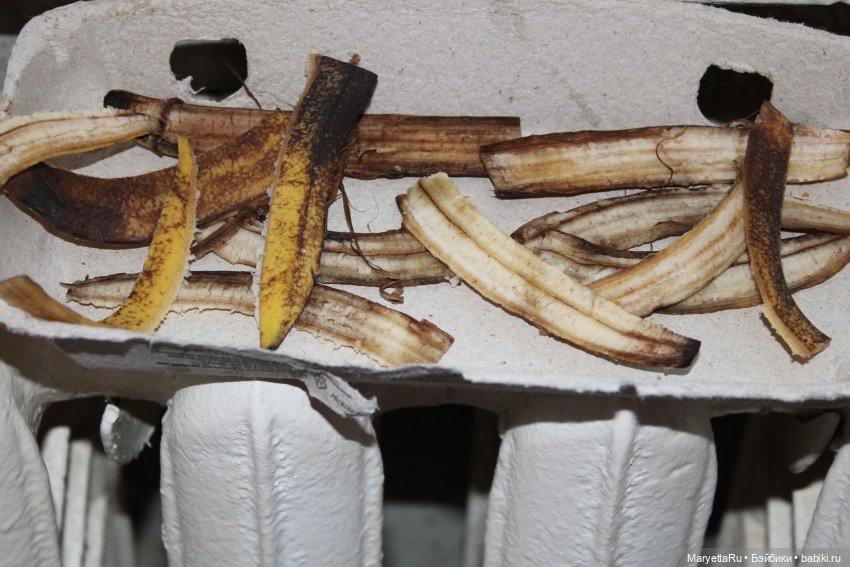 Самое простое удобрение для комнатных цветов (фото 5)