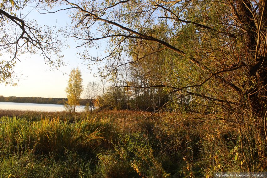 Прогулка с листьями вдоль реки на закате (фото 3)