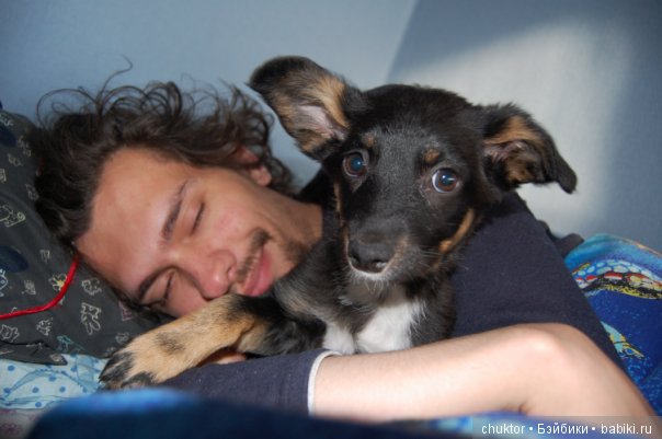 Как я завела "той-терьера" (фото 2)