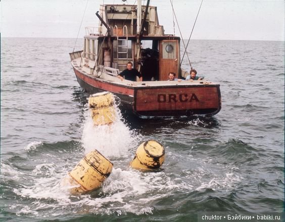 Кто проживает на дне океана (фото 2)