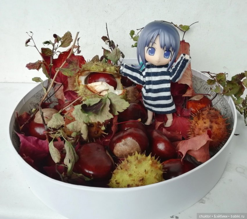 Каштановое безумие — Болталка и разговоры обо всем: жизнь (фото 6)