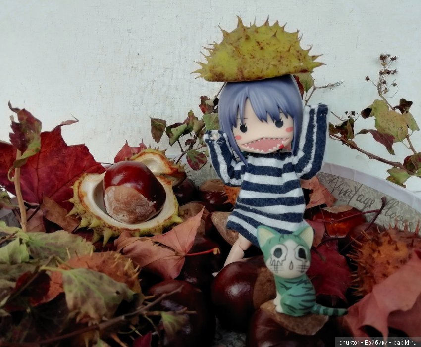 Каштановое безумие — Болталка и разговоры обо всем: жизнь (фото 9)