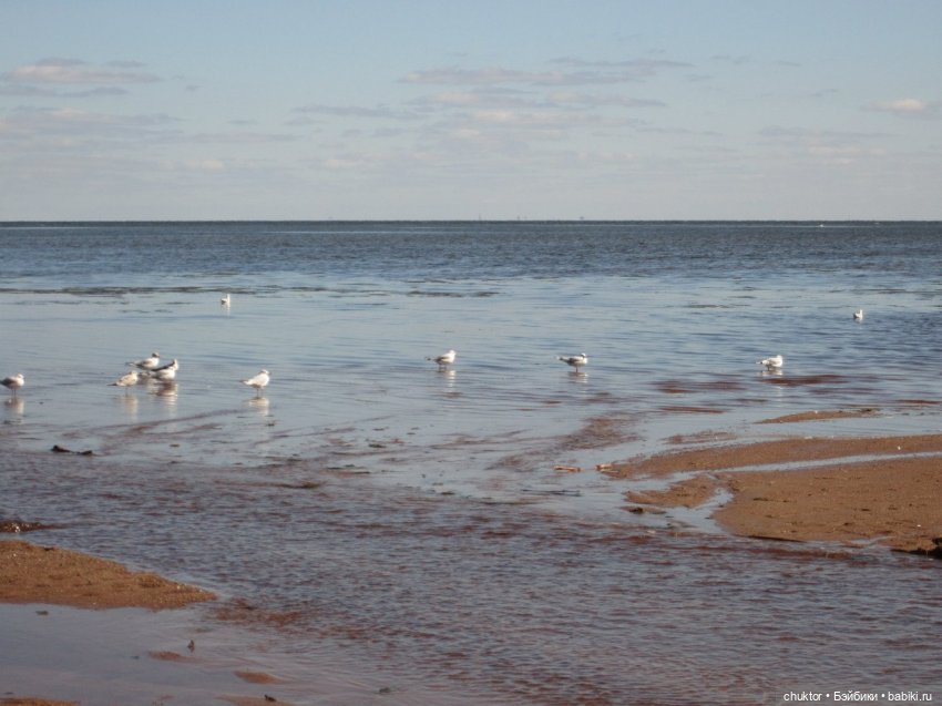 Море внутри | Бэйбики Море внутри — Румбоксы и кукольные интерьеры: фото (фото 8)