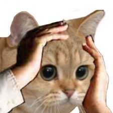 Мечтать или не мечтать?