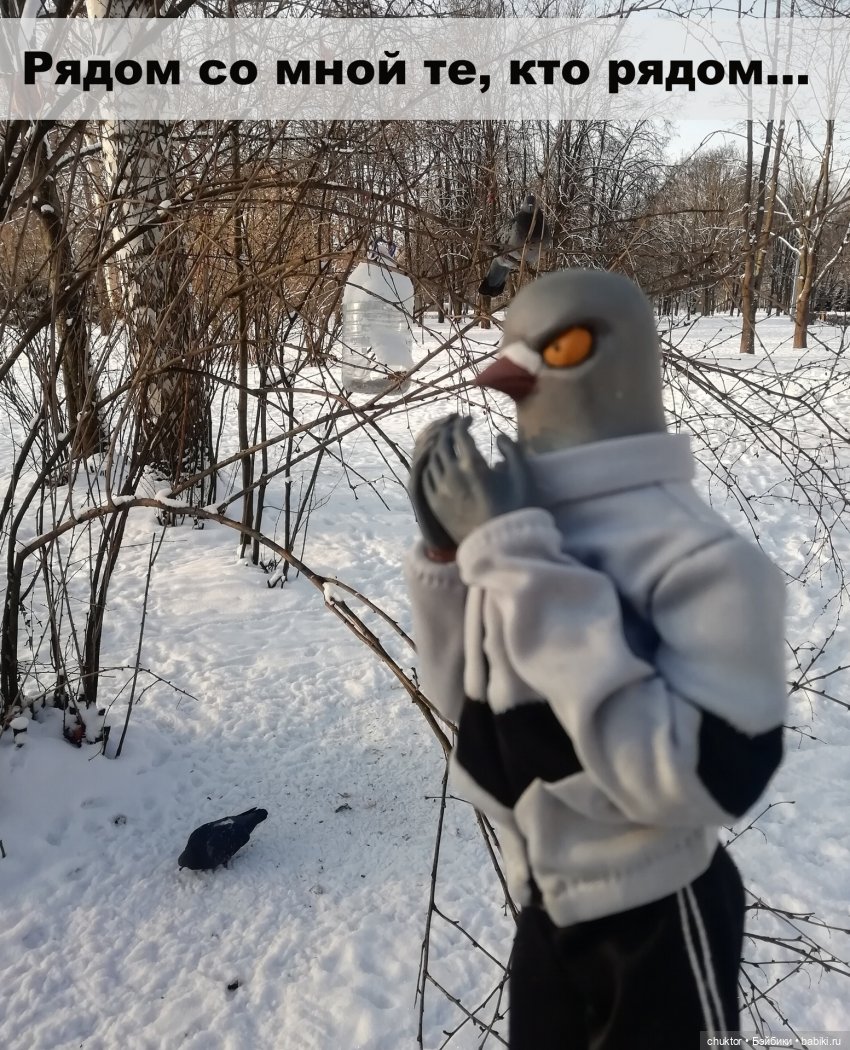 Зимнее сияние чёткого разума