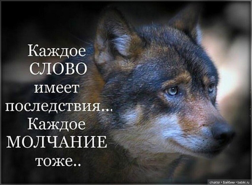 Зимнее сияние чёткого разума (фото 9)